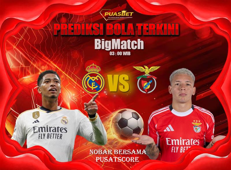 image - 2026-02-25T034209.485